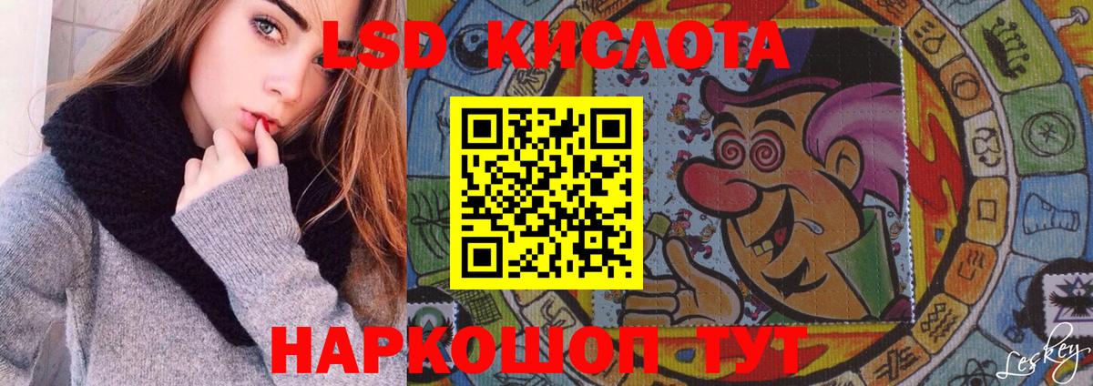 Псилоцибиновые грибы Кинель