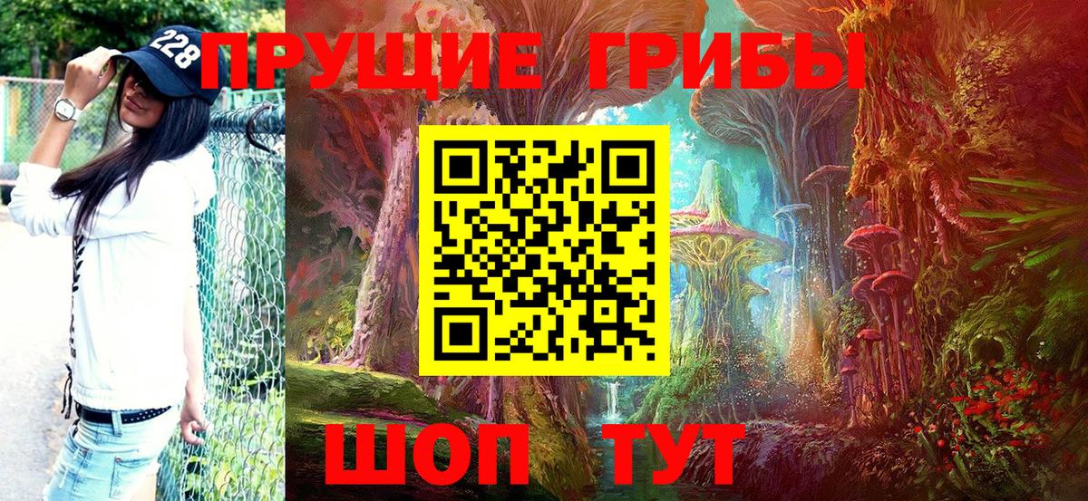 Кинель  сколько стоит  Вход с VPN  Галлюциногенные грибы Magic Shrooms 