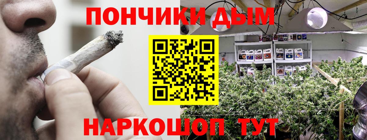 Шишки марихуана сатива  Бошки Шишки OG Kush  Кинель  Вход с VPN  Каннабис тримм 